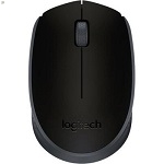 Мышь Logitech Wireless Mouse M171, black, (910-004424)